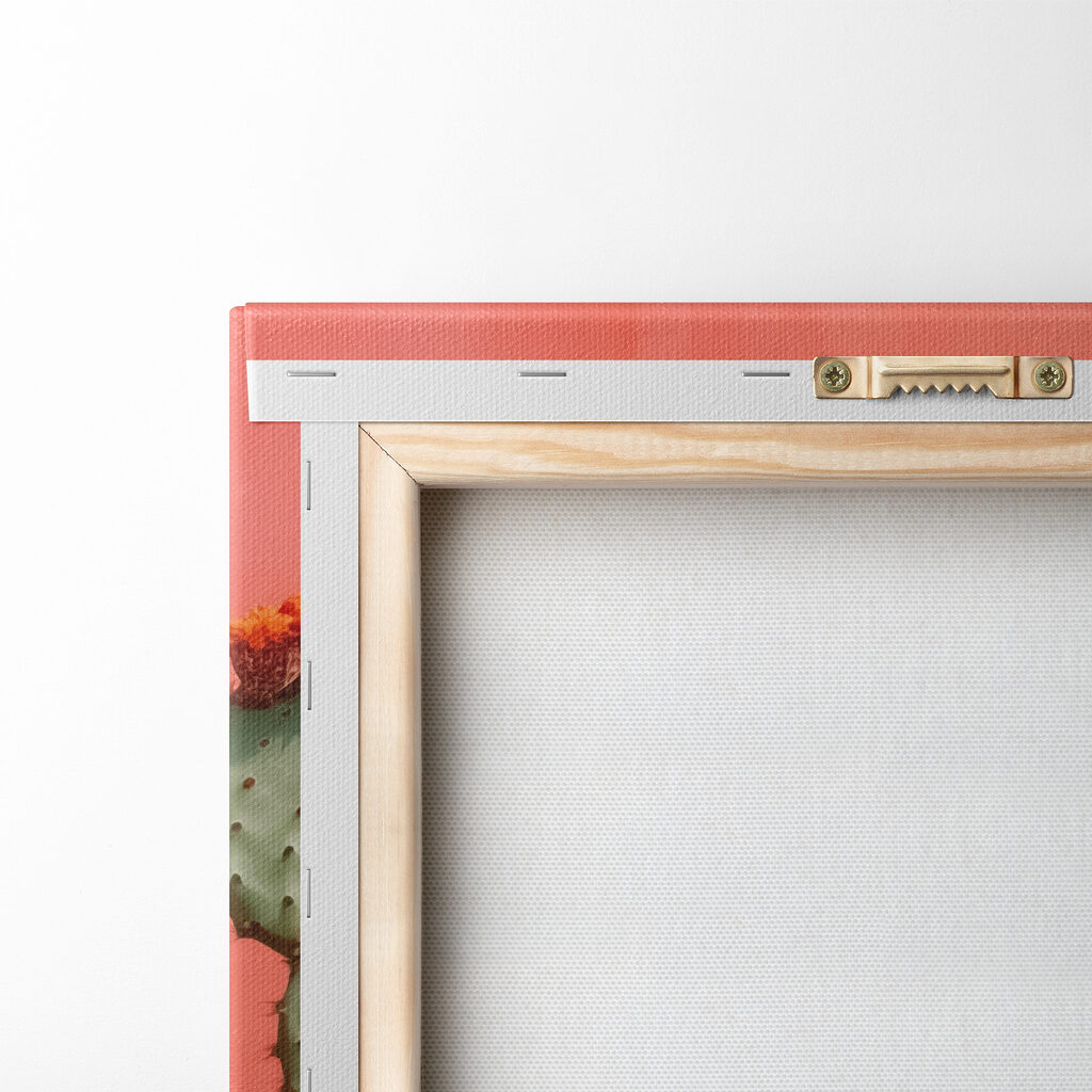 Cactus in a pot against a wall