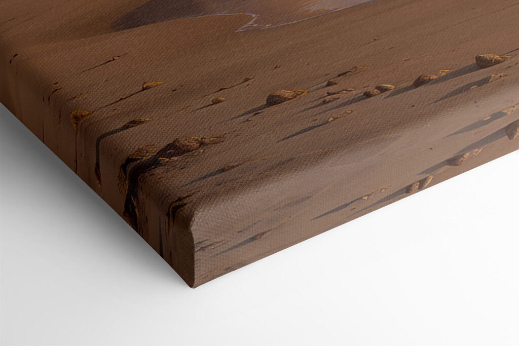 Sunset over a beach