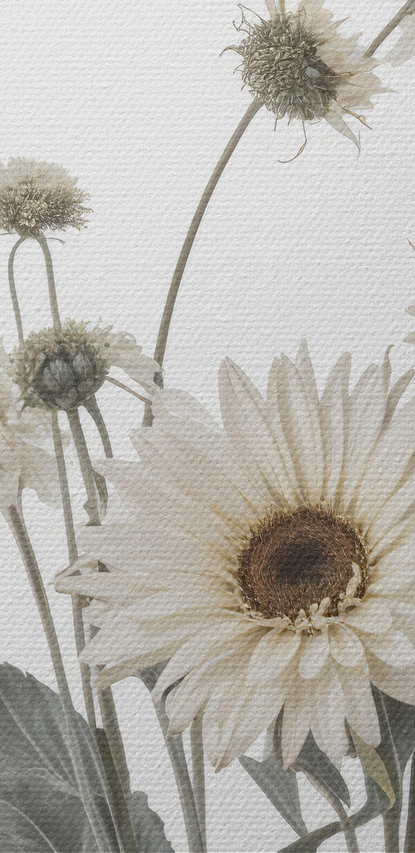 Groep witte bloemen Groep witte bloemen