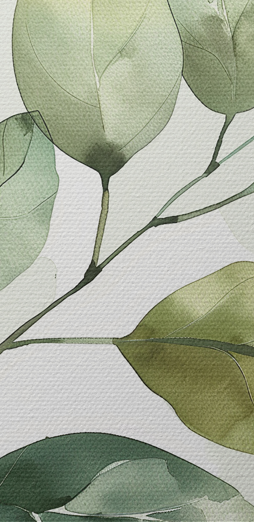 Groene bladplant met witte achtergrond Groene bladplant met witte achtergrond