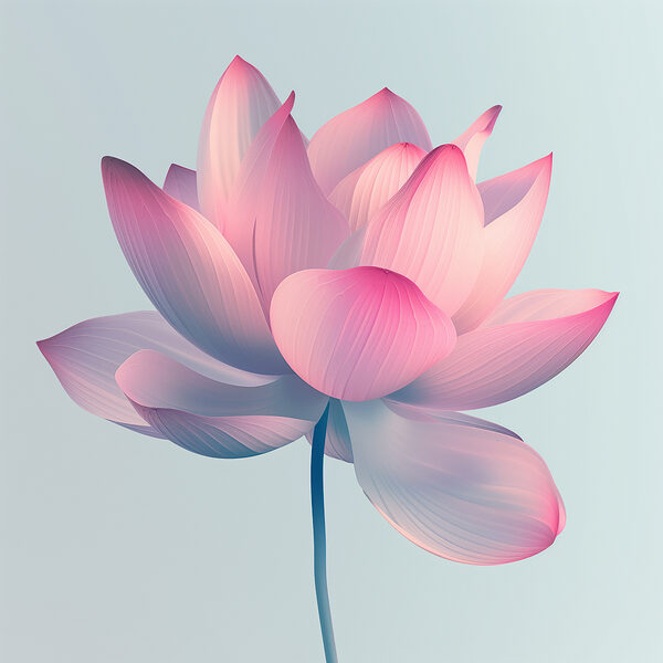 Roze en witte bloem Roze en witte bloem