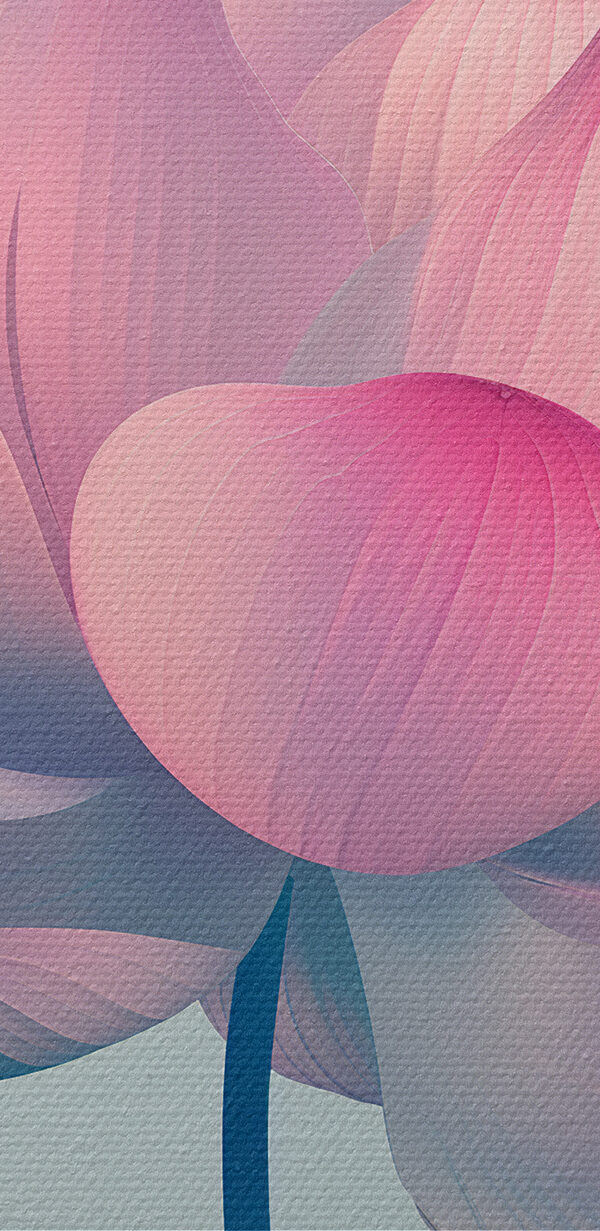 Roze en witte bloem Roze en witte bloem
