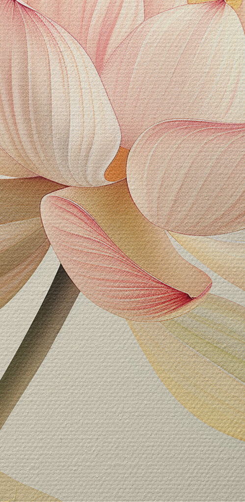 Close up of a flower Close up of a flower