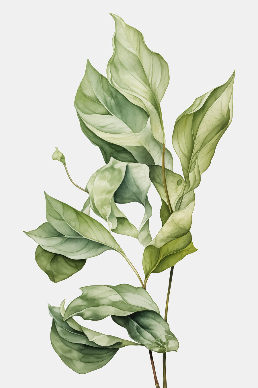 Close-up van een plant
