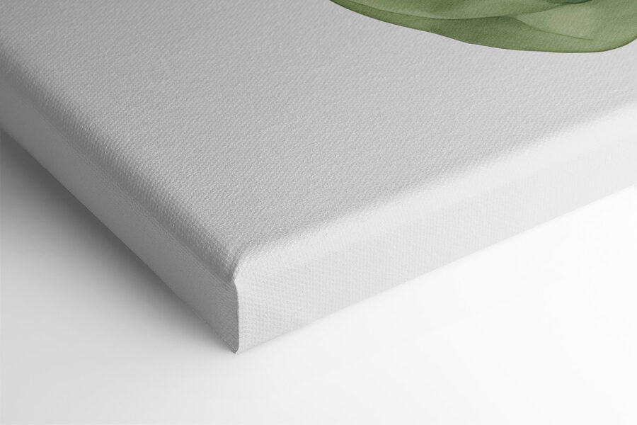 Close-up van een plant