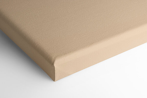 Sunflower with a brown center