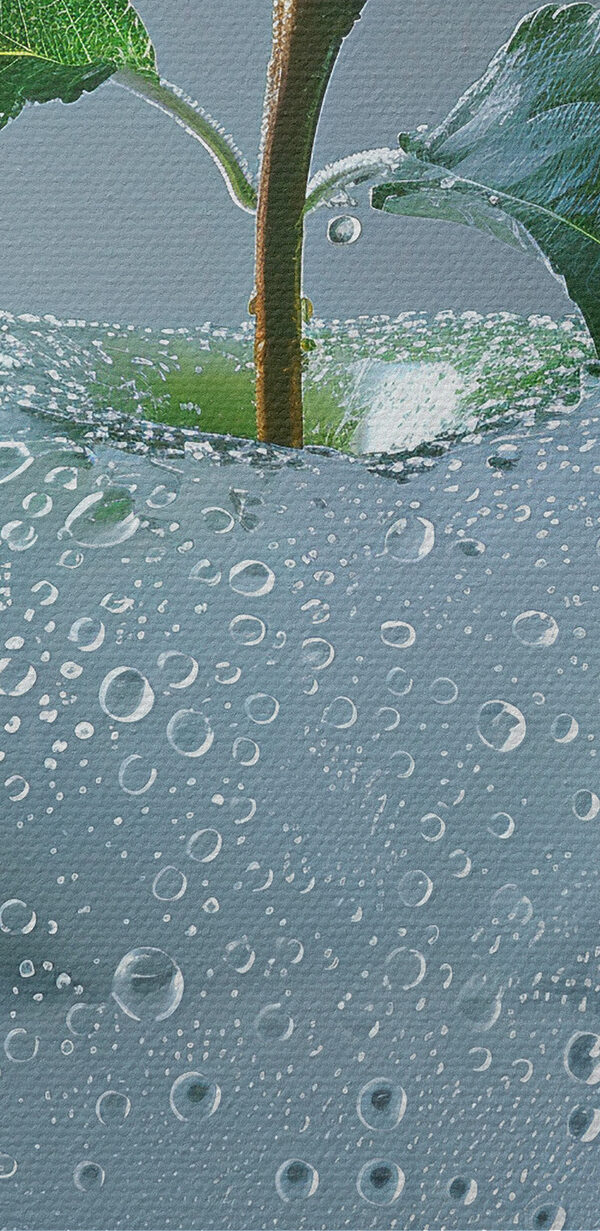 Heldere appel met waterdruppels erop Heldere appel met waterdruppels erop