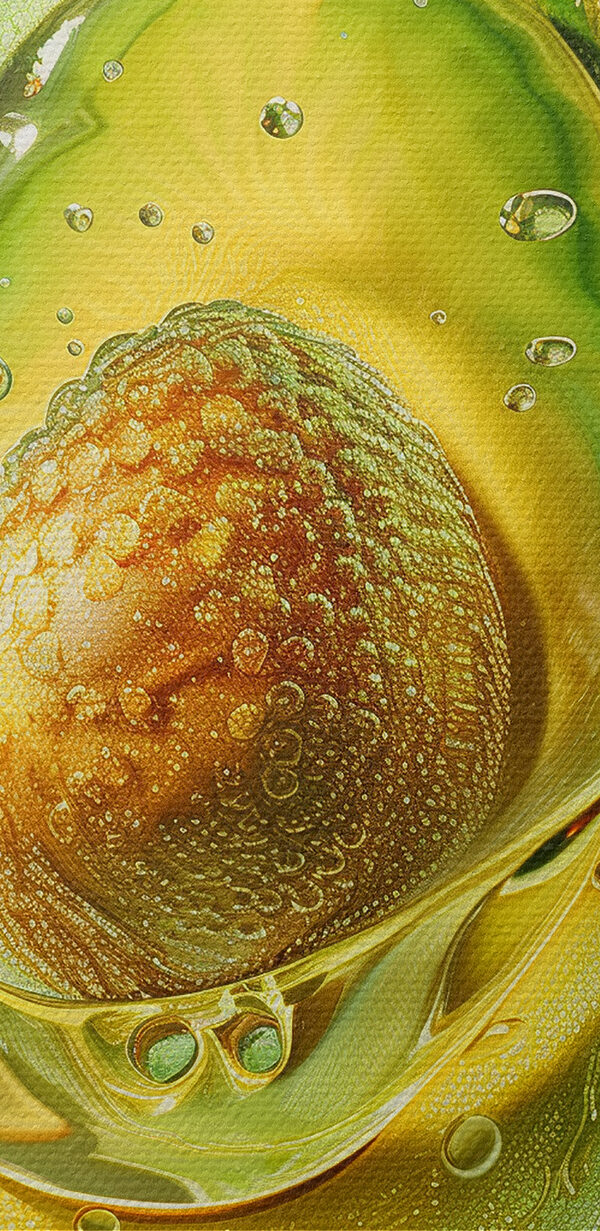 Avocado doormidden gesneden Avocado doormidden gesneden