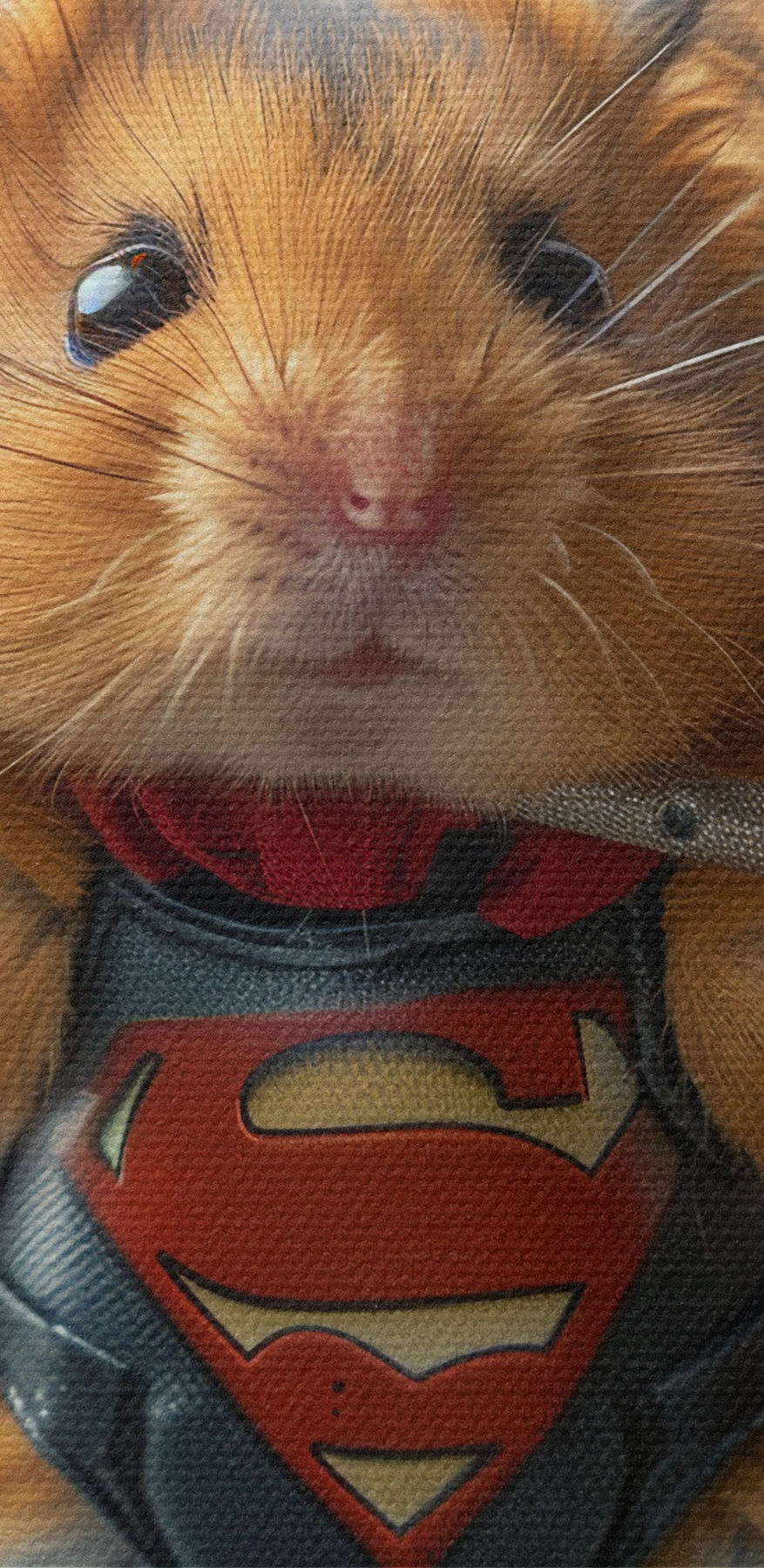 Hamster met een superheld-kledingstuk die een halter vasthoudt