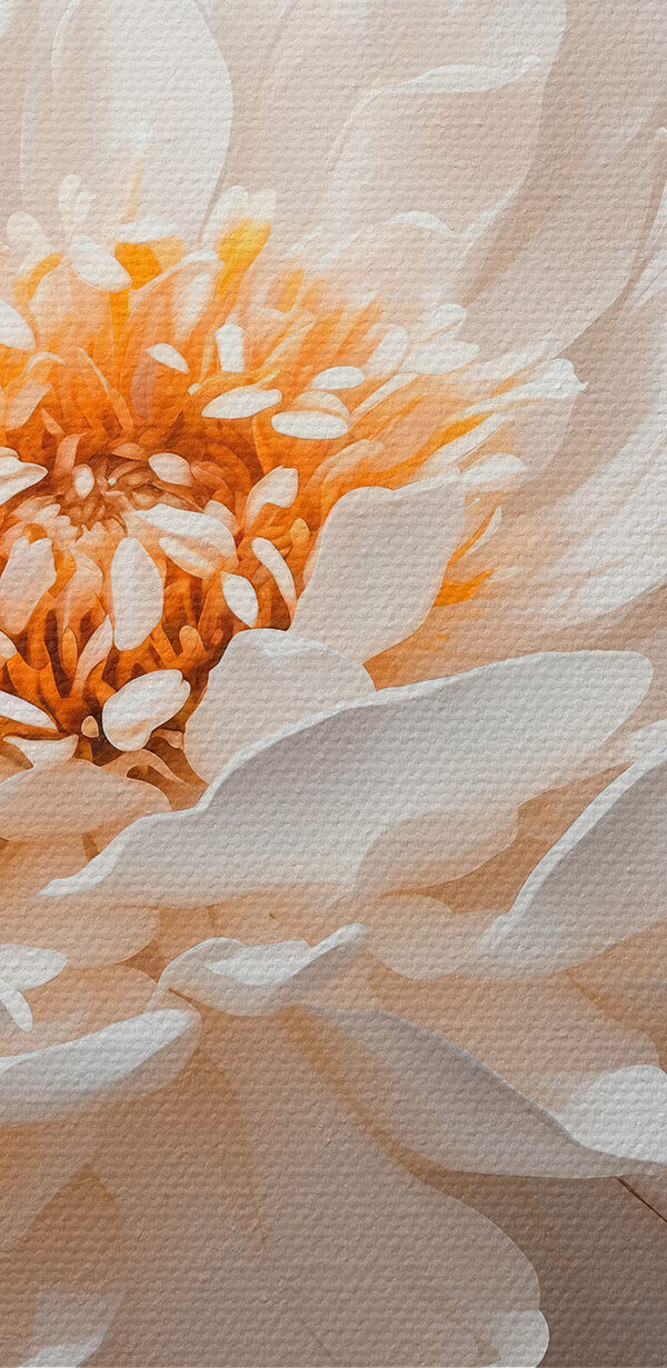 Close-up van een witte bloem Close-up van een witte bloem