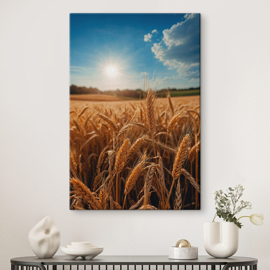 Tarweveld met de zon op de achtergrond