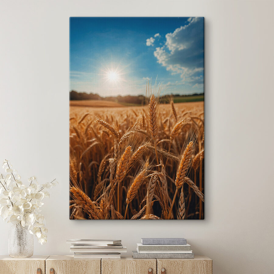 Tarweveld met de zon op de achtergrond