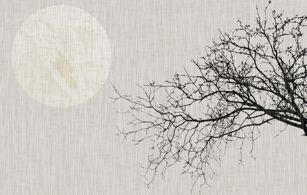 Tree with no leaves