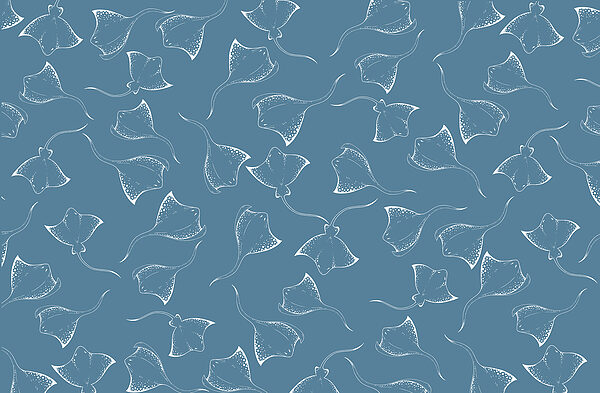 Blauwe achtergrond met witte roggen Blauwe achtergrond met witte roggen