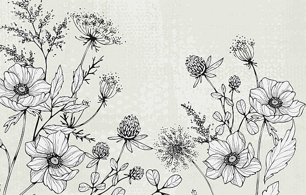 Tekening van bloemen en bladeren Tekening van bloemen en bladeren