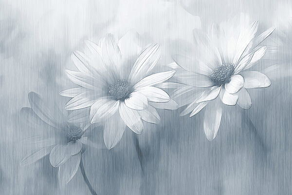 Groep witte bloemen Groep witte bloemen