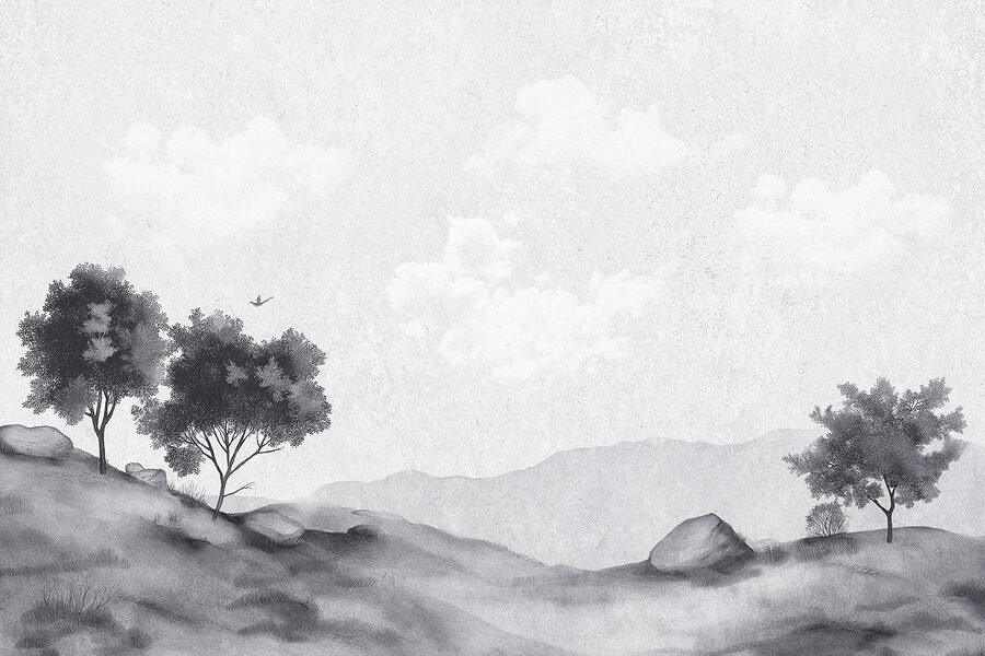 Landschap met bomen en rotsen