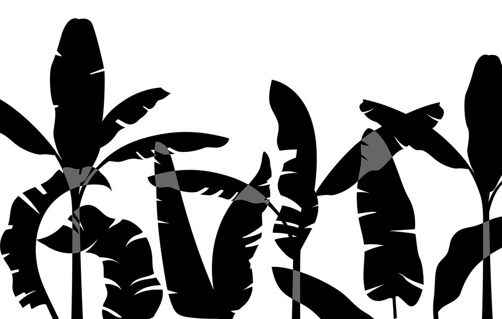Zwart silhouet van een bananenblad Zwart silhouet van een bananenblad