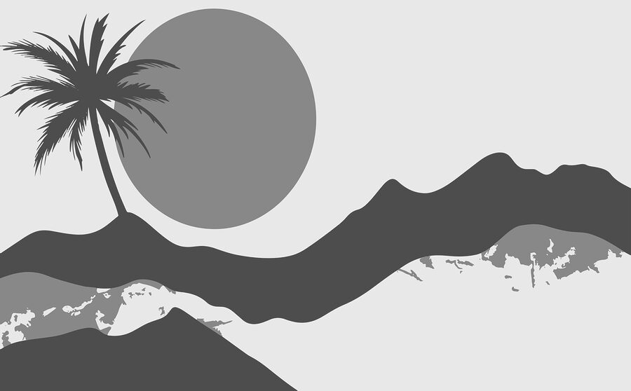 Palmboom en een zon Palmboom en een zon