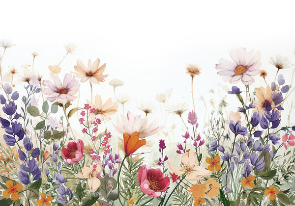 Groep bloemen op witte achtergrond Groep bloemen op witte achtergrond