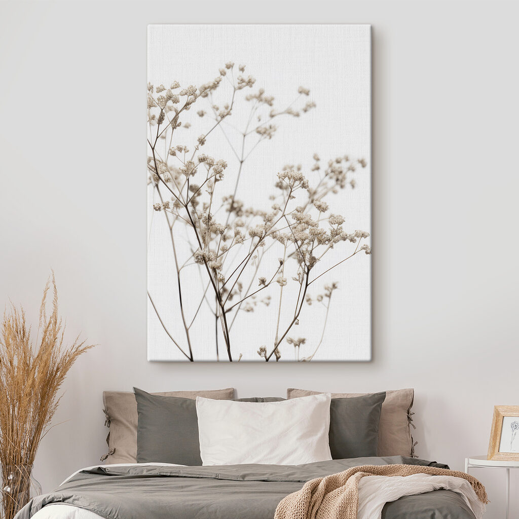 Delicate dried flowers against white backdrop