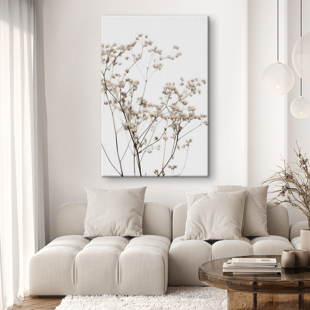 Delicate dried flowers against white backdrop