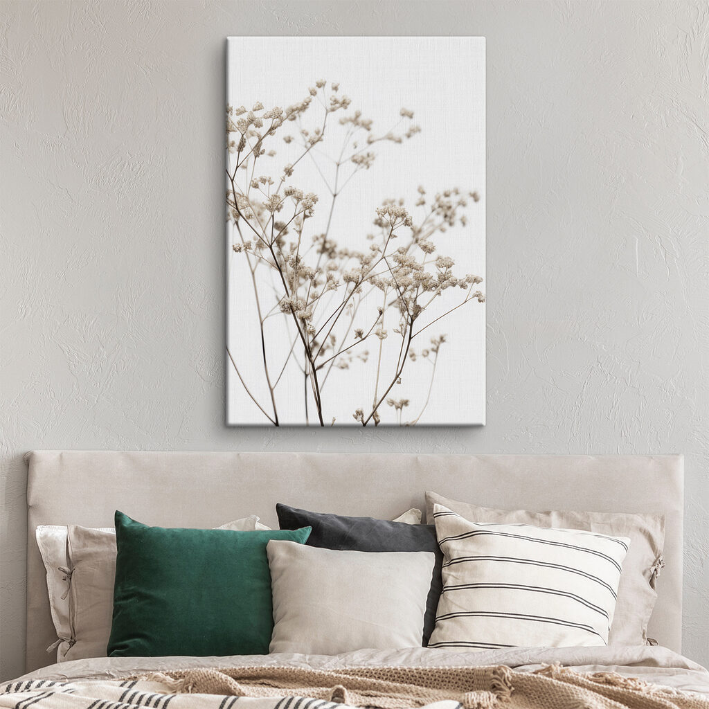 Delicate dried flowers against white backdrop