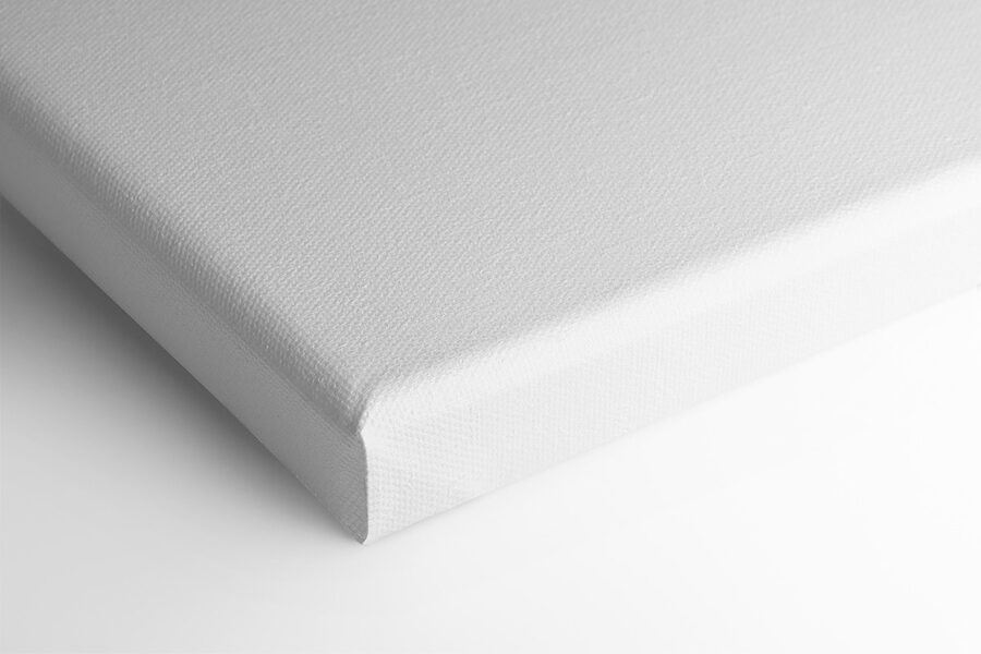 Aquarel van een tak met bladeren Aquarel van een tak met bladeren
