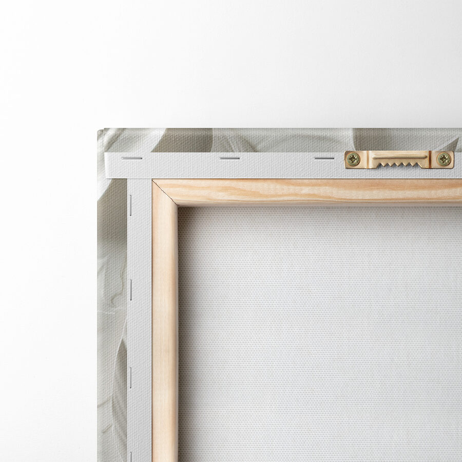 Snijwerk van witte veren op een muur Snijwerk van witte veren op een muur