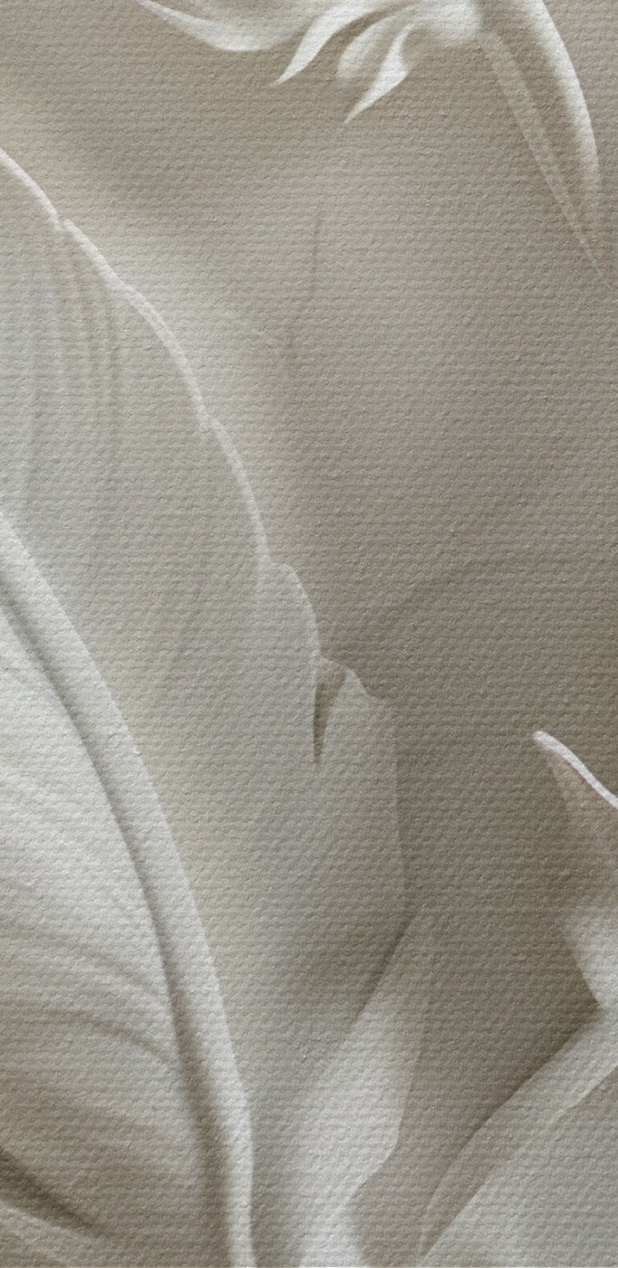Snijwerk van witte veren op een muur Snijwerk van witte veren op een muur