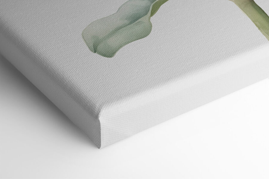 Close-up van een plant