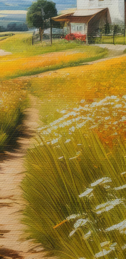 Path through a field of flowers