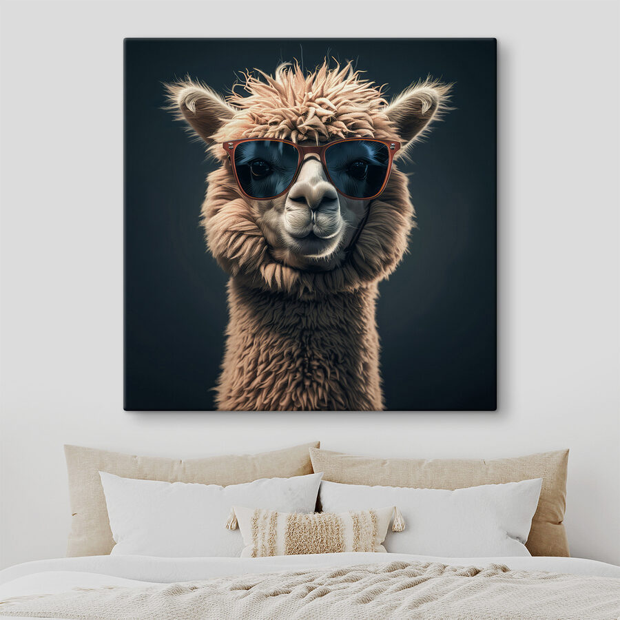 Lama met zonnebril