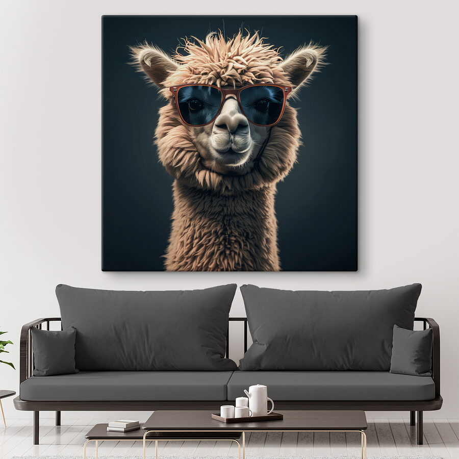 Lama met zonnebril