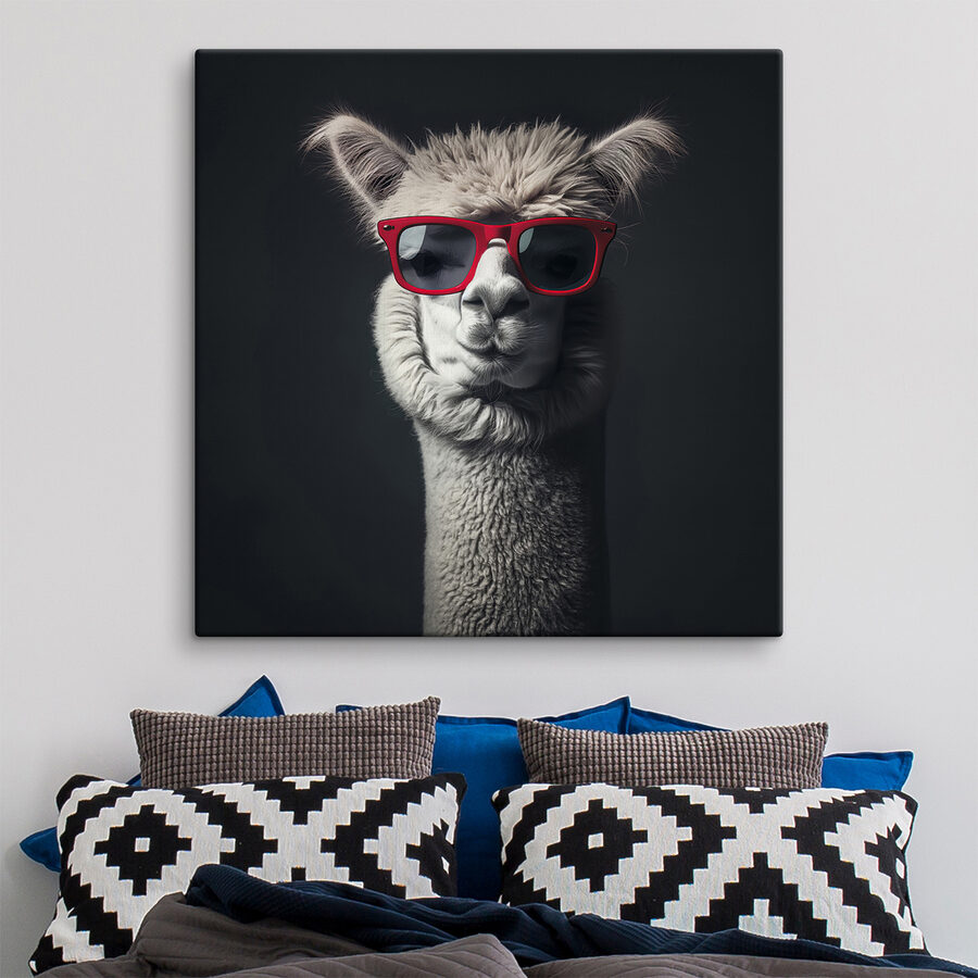 Lama met rode zonnebril