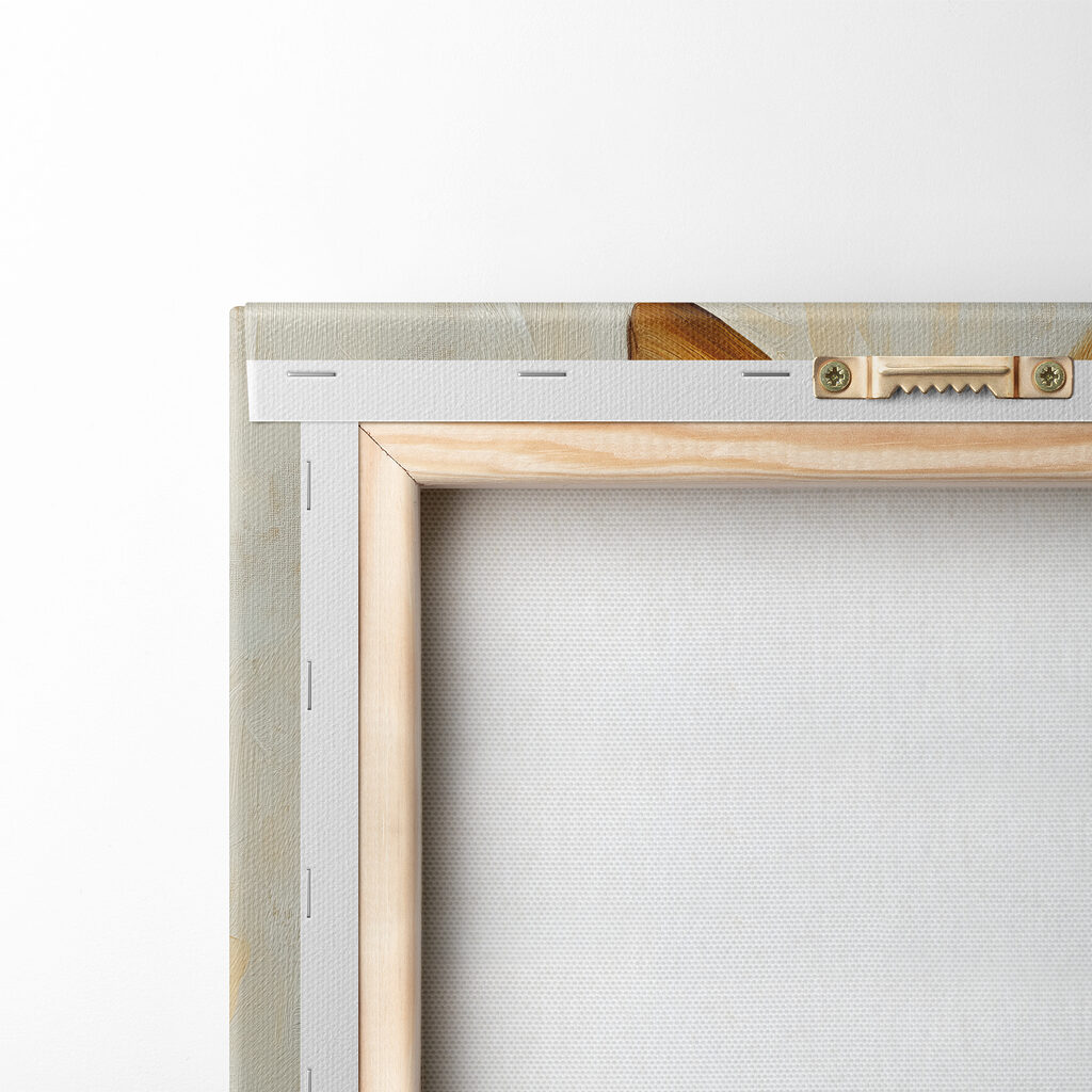 Close up of a rabbit Close up of a rabbit