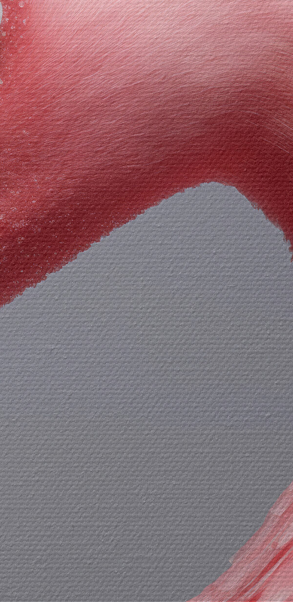 Close-up van een roze flamingo Close-up van een roze flamingo