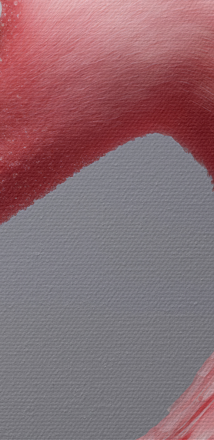 Close-up van een roze flamingo
