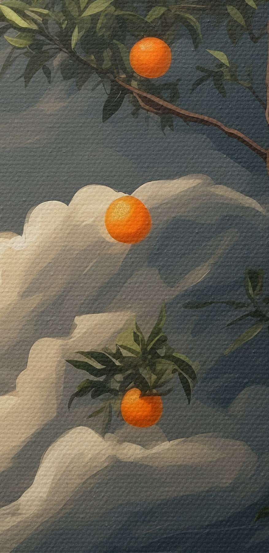 Boom met sinaasappels erop Boom met sinaasappels erop