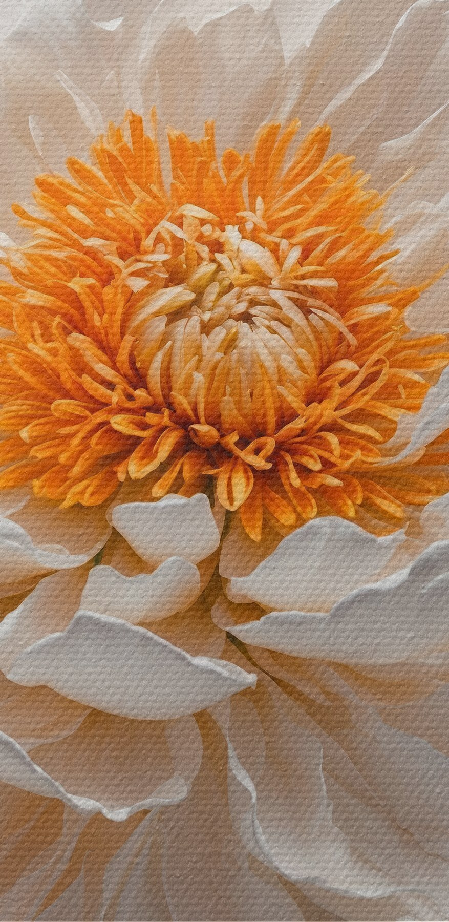 Witte bloem met oranje hart Witte bloem met oranje hart