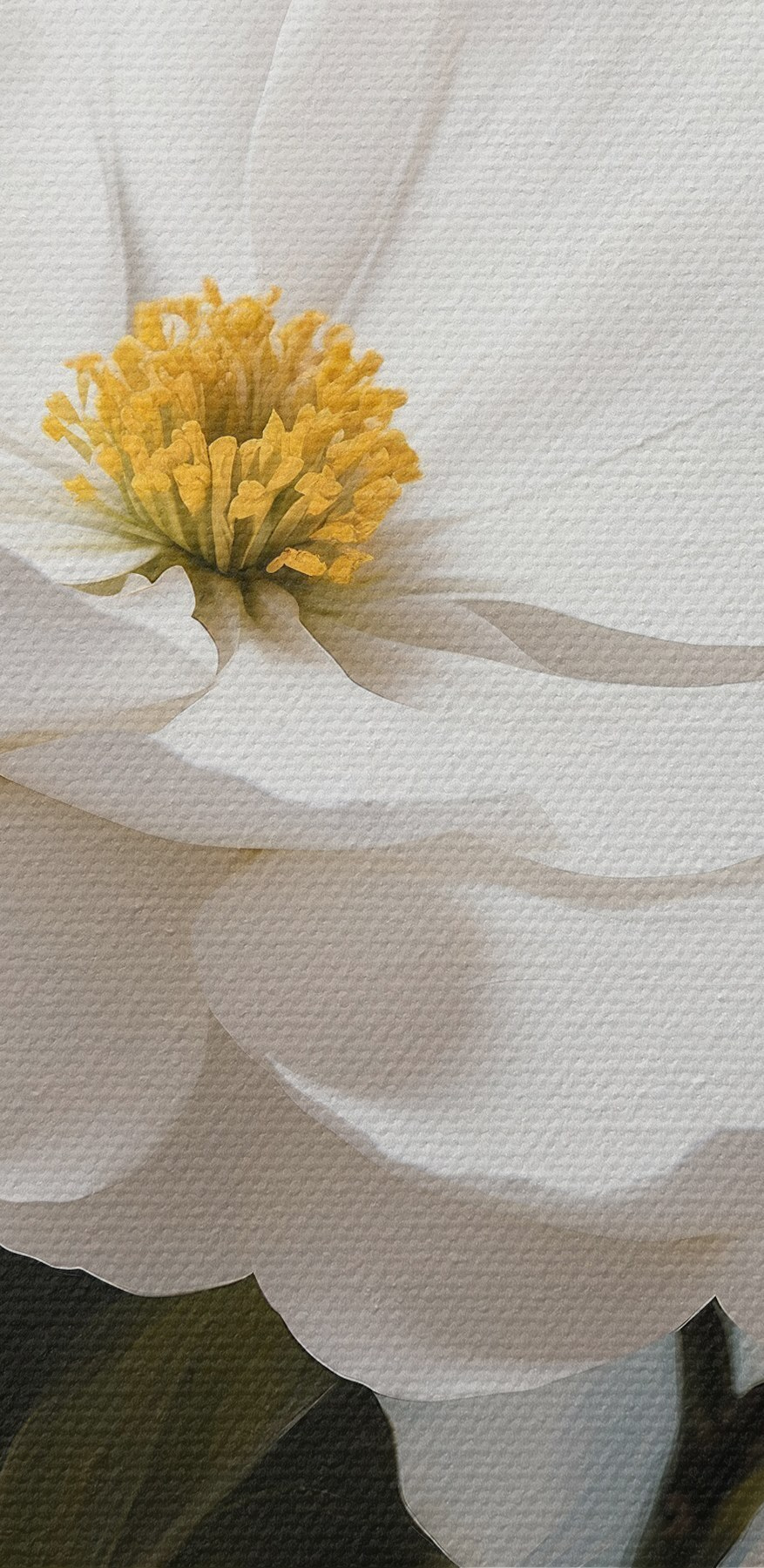 Groep witte bloemen Groep witte bloemen