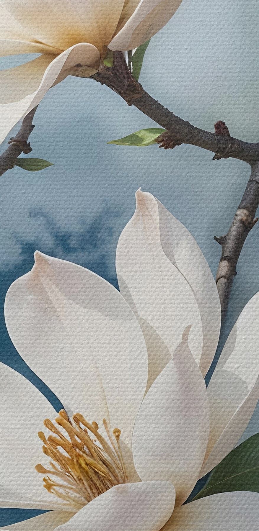 Groep witte bloemen op een boomtak
