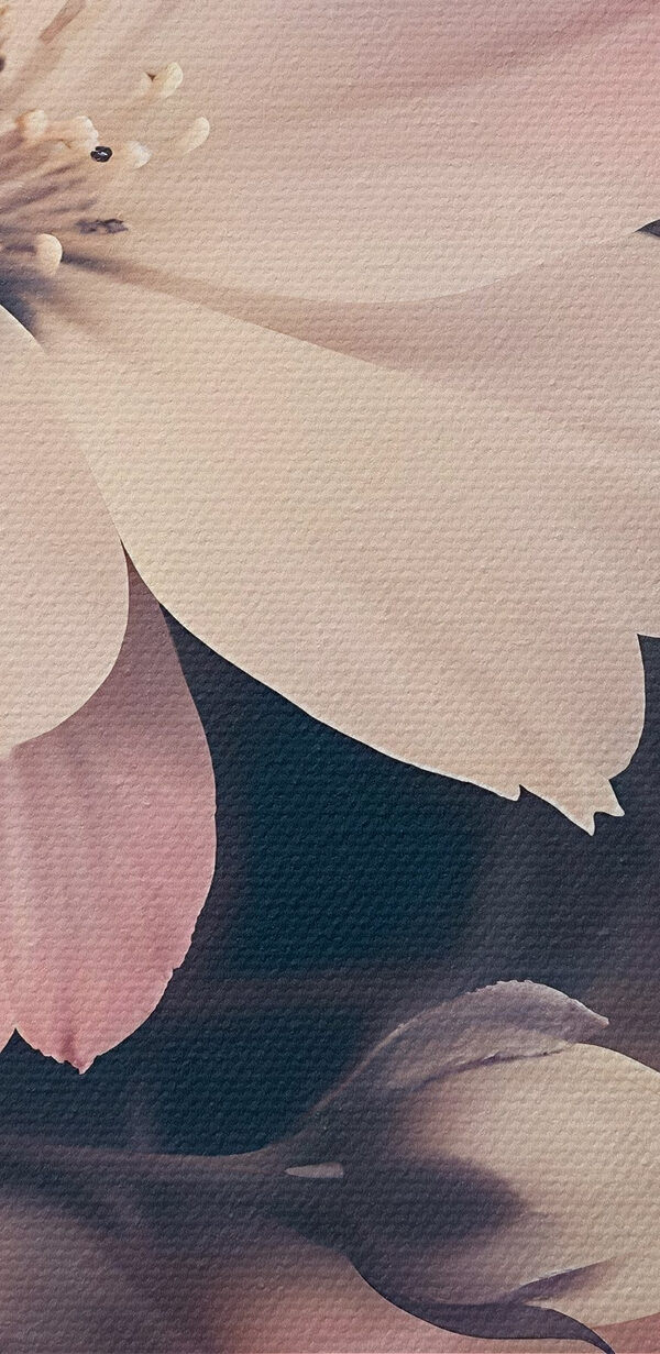 Close-up van bloemen Close-up van bloemen