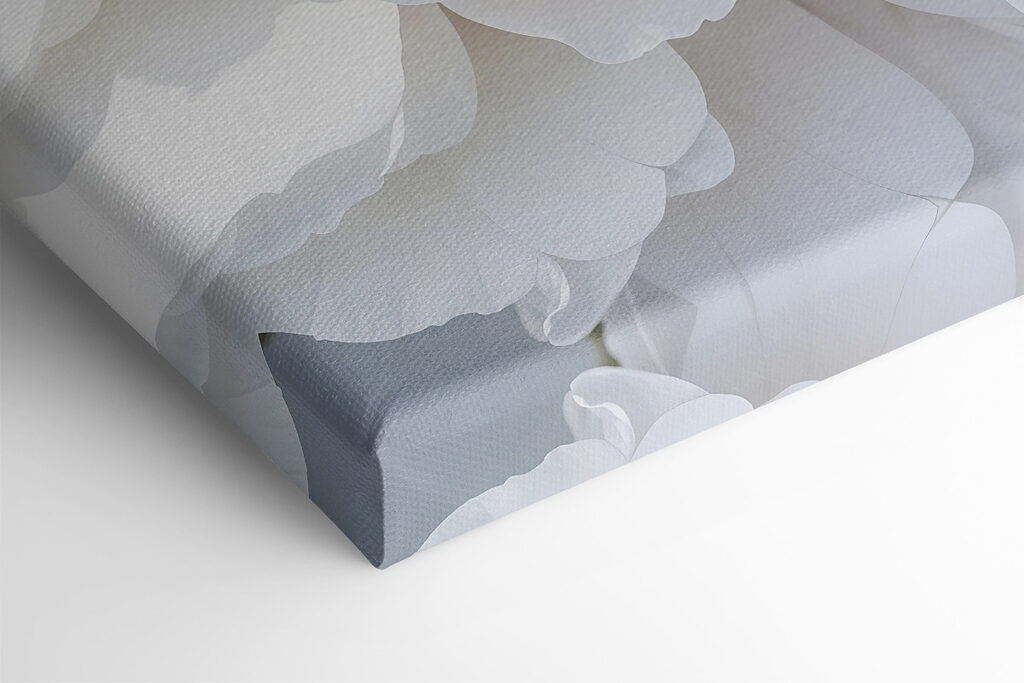 Close up of white flowers Close up of white flowers