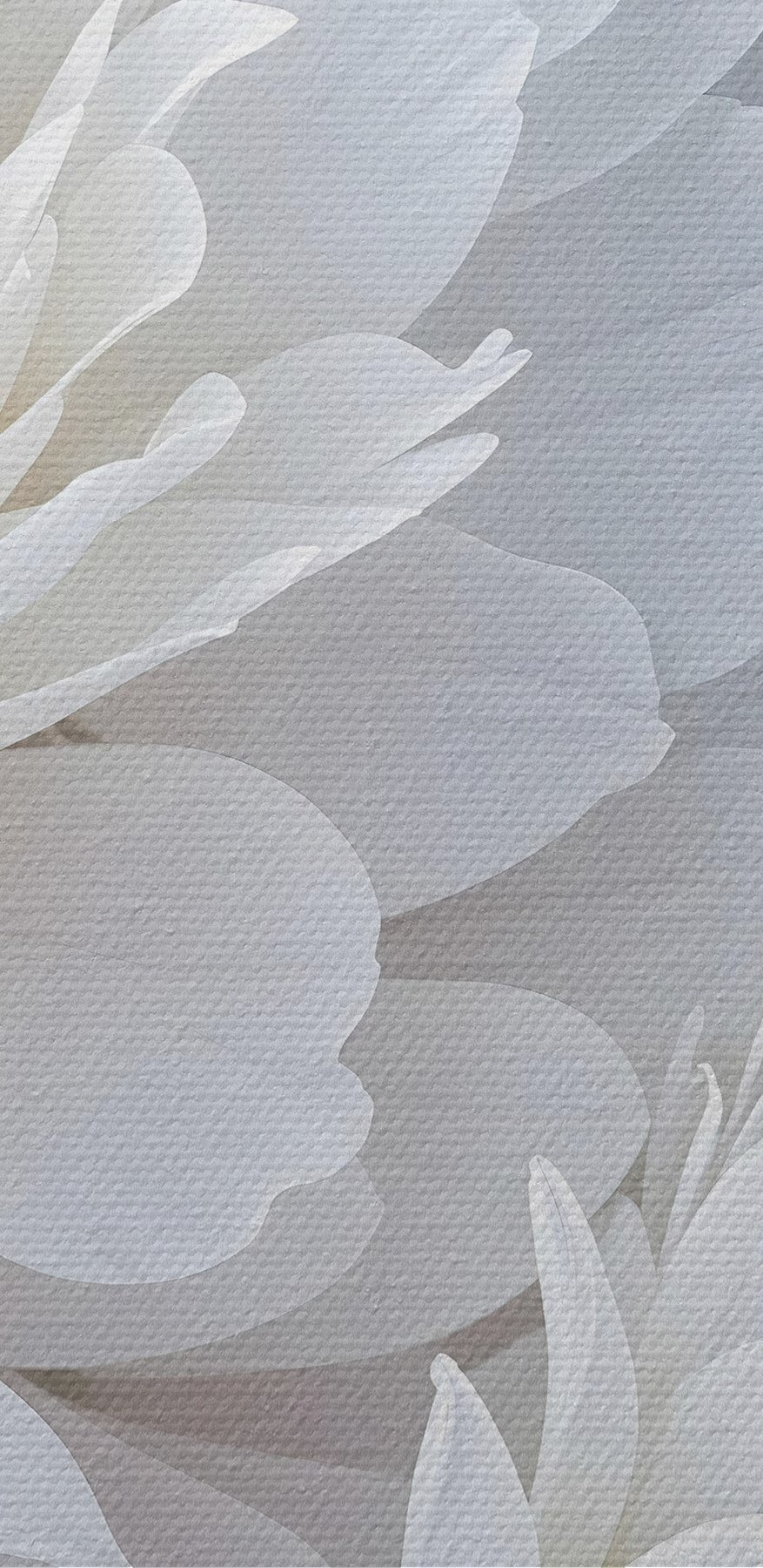 Close-up van witte bloemen