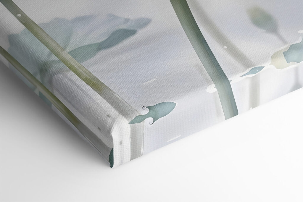 Group of white flowers