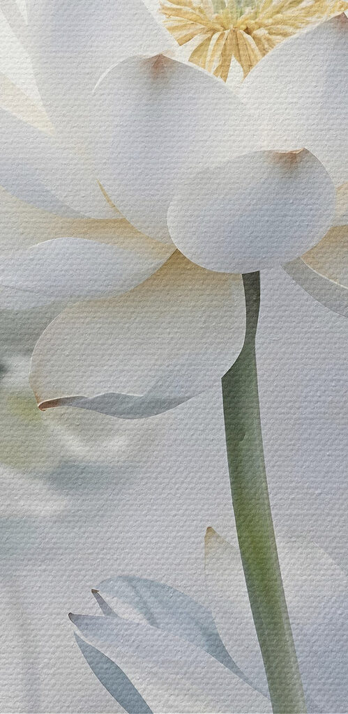 Group of white flowers