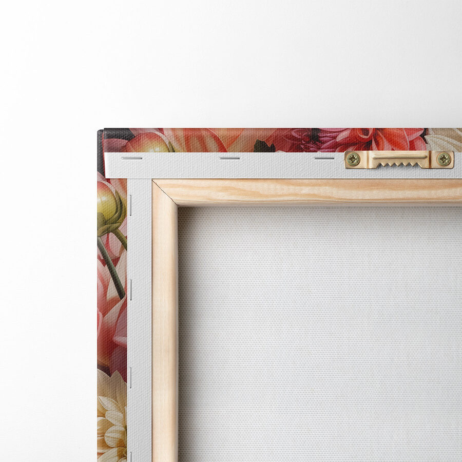 Groep roze en witte bloemen Groep roze en witte bloemen