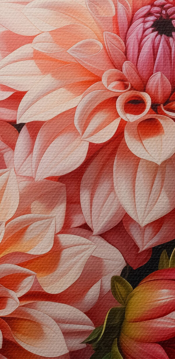 Groep roze en witte bloemen Groep roze en witte bloemen