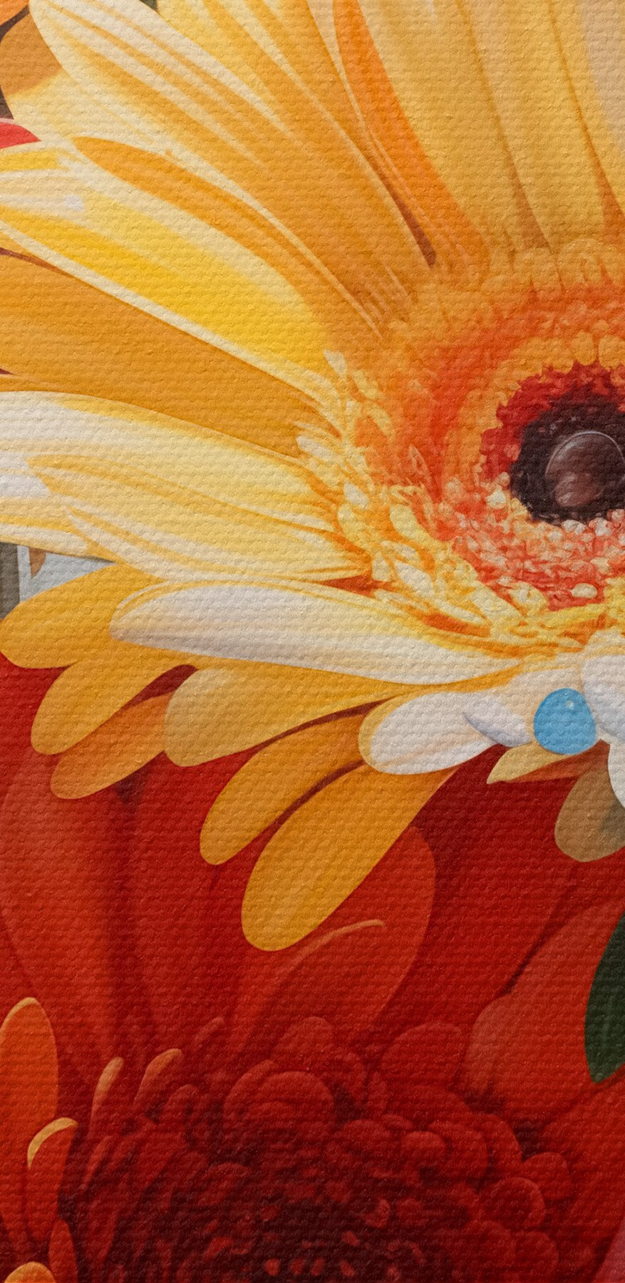 Groep kleurrijke bloemen